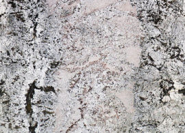 Bianco Antico Custom Granite Counter Arizona